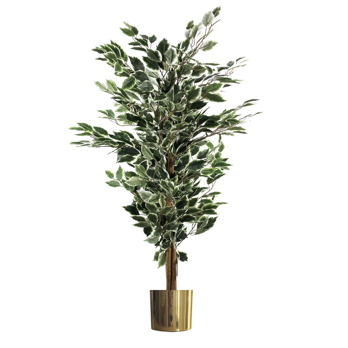 130cm Variegated White/Green Bushy Ficus Tree with Gold Metal Planter