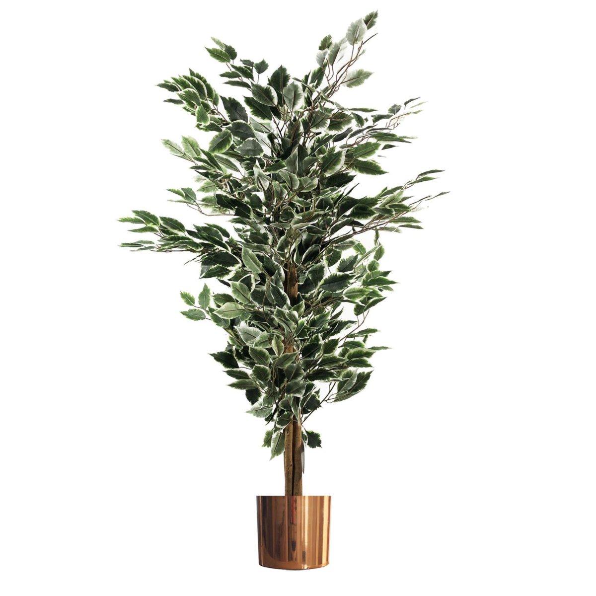 130cm Variegated White/Green Bushy Ficus Tree with Copper Metal Planter