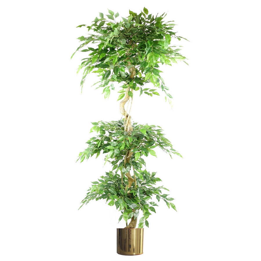 180cm Artificial Twisted Trunk Fruticosa Ficus Tree Triple Ball Topiary with Gold Metal Planter