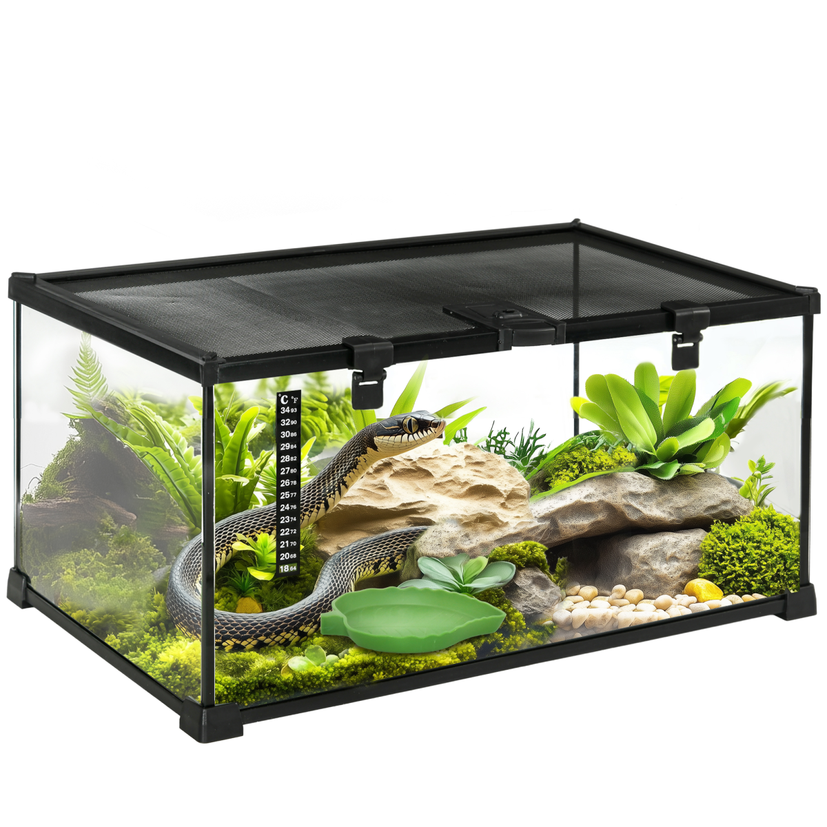 Glass Reptile Terrarium Habitat for Lizards, Frogs and Snakes