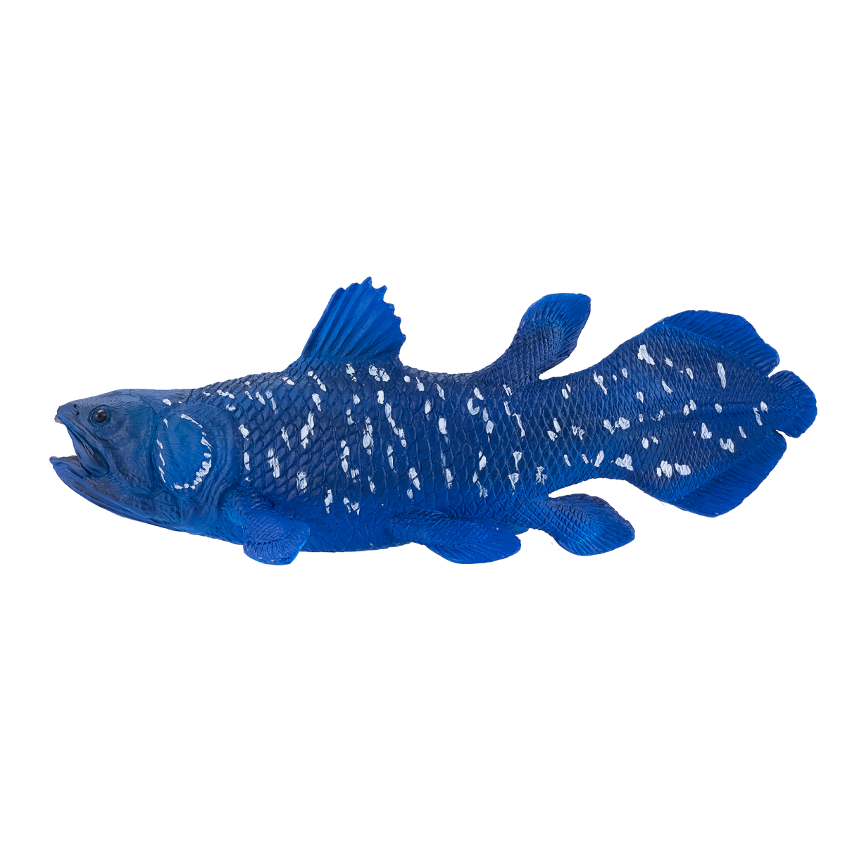 Coelacanth Toy Realistic Prehistoric Fish Model