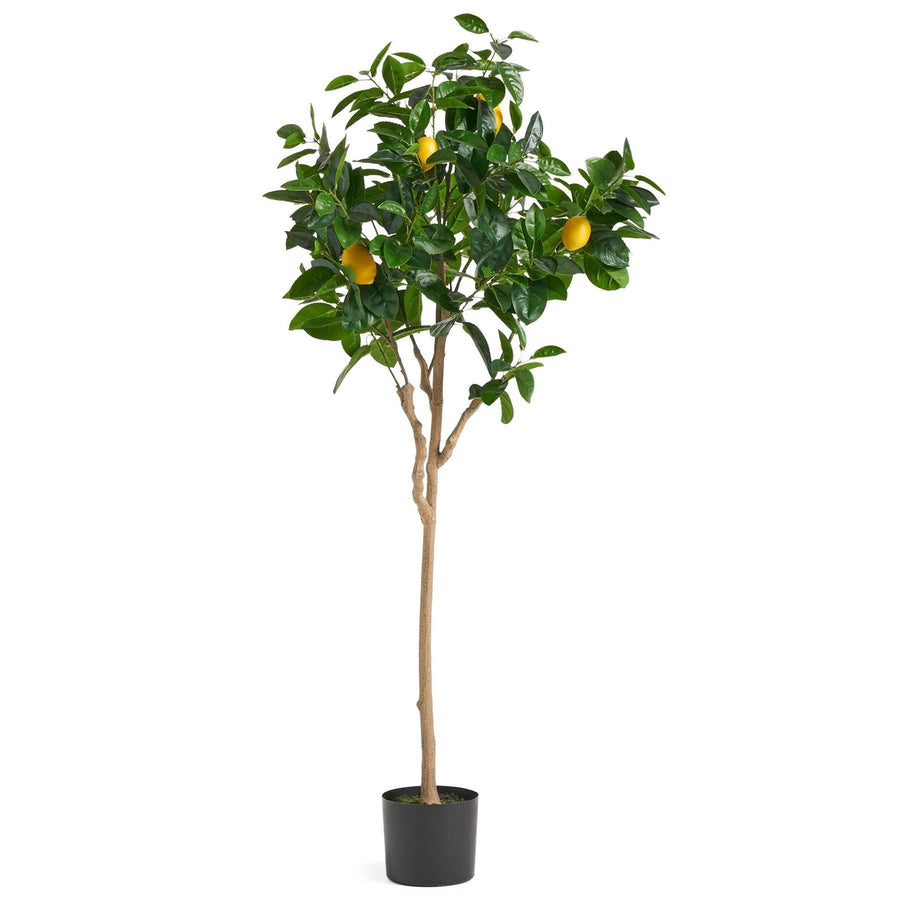 150cm Artificial Lemon Tree