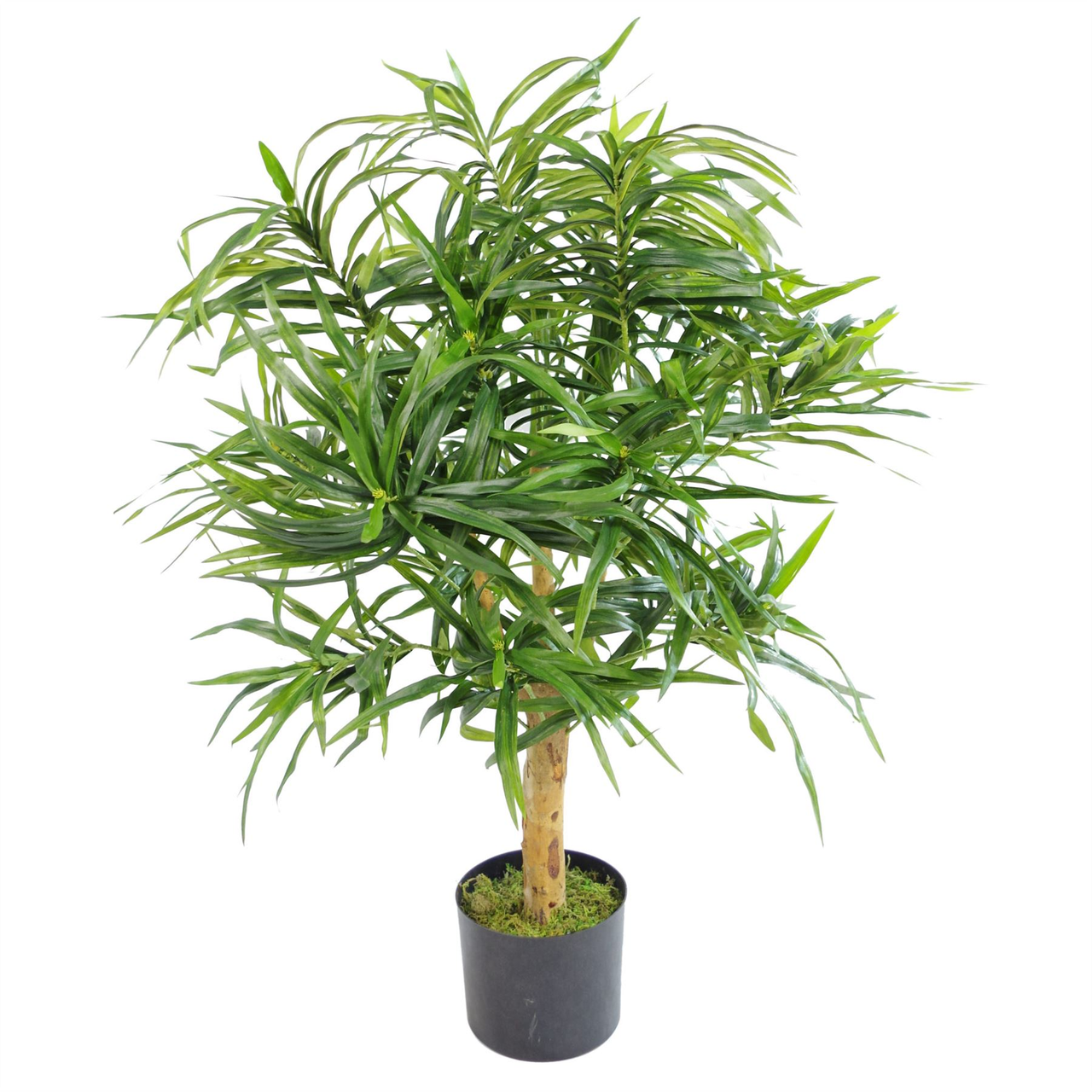 100cm Artificial Dracaena Plant Tree with Pot