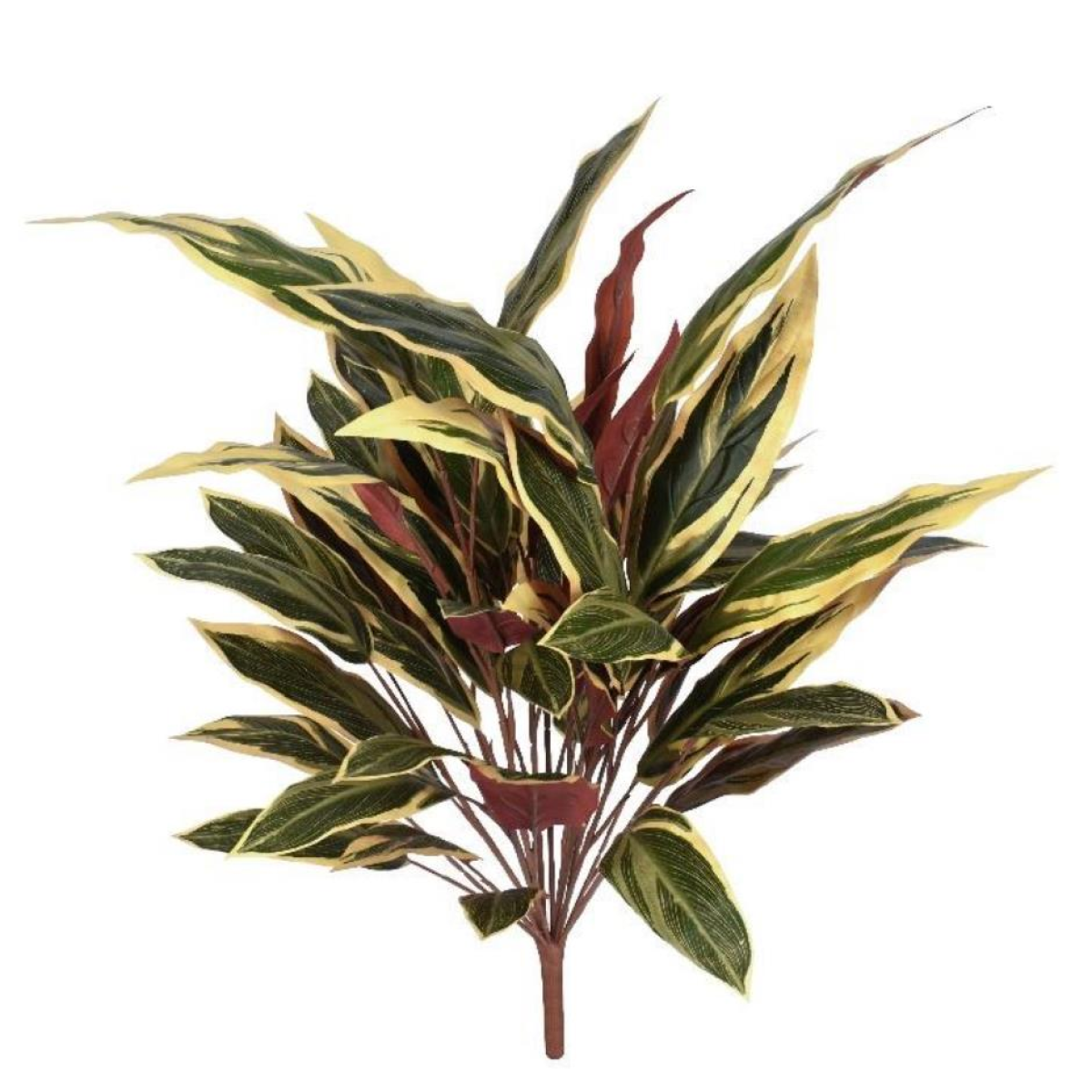 90cm Fire Retardant Caladium Bush with White Edge x15w/49Lvs