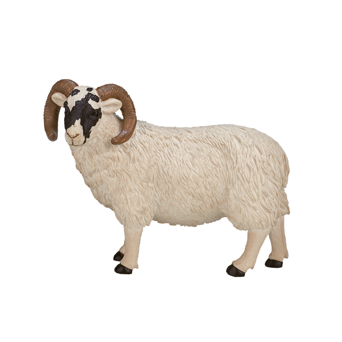 Black-Faced Sheep Ram Toy