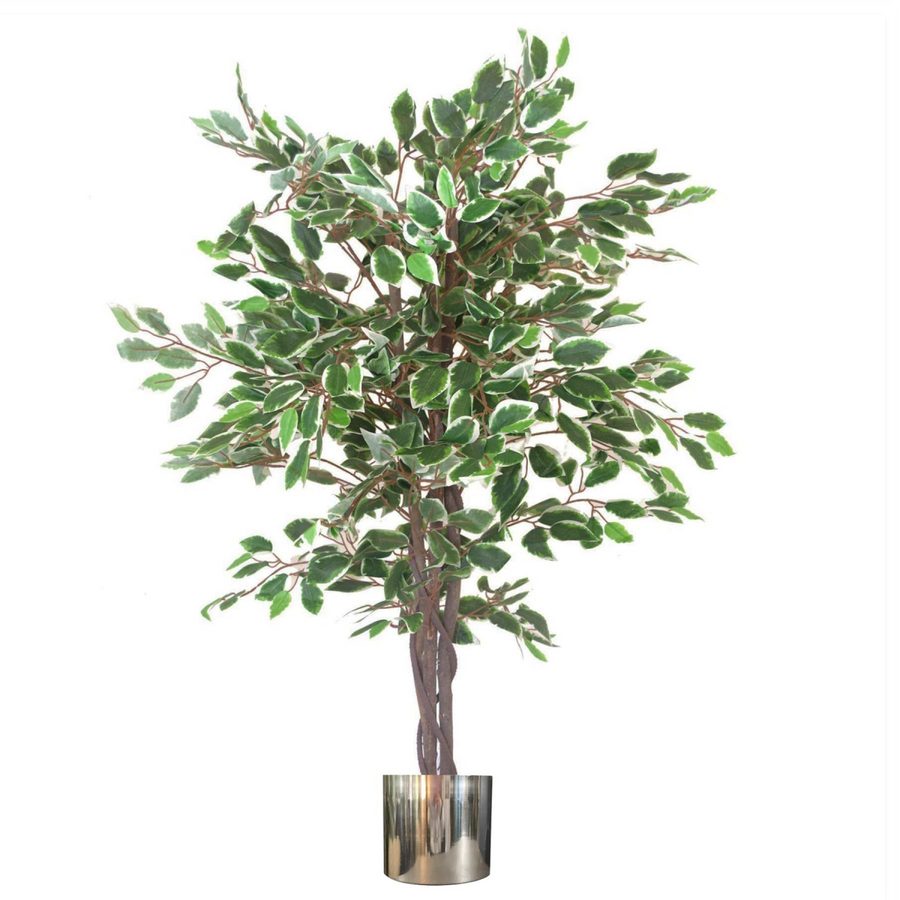 130cm White Edge Ficus Artificial Plant Tree with Silver Metal Planter