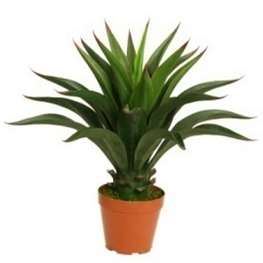 60cm Artificial Yucca Plant