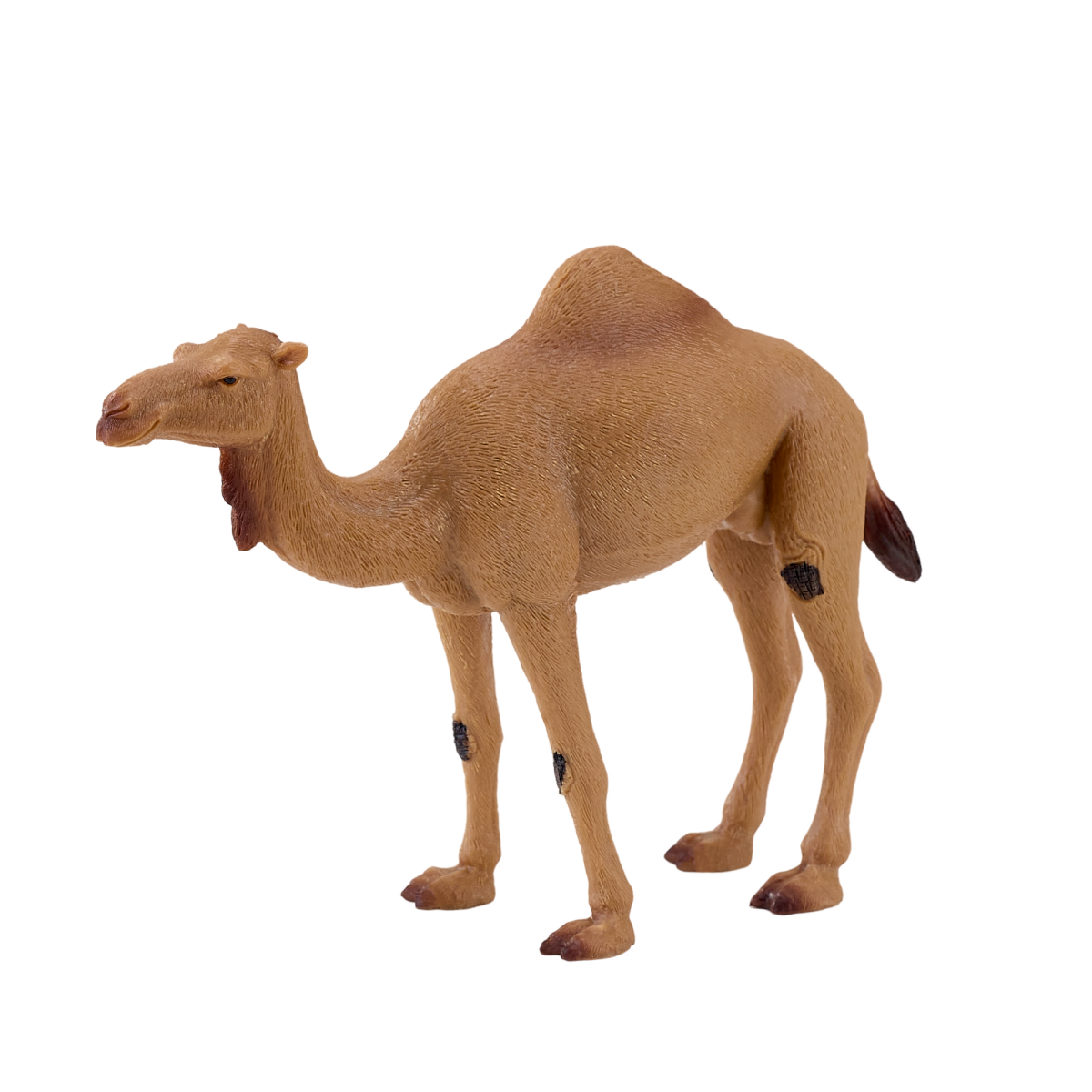 Arabian Camel Toy