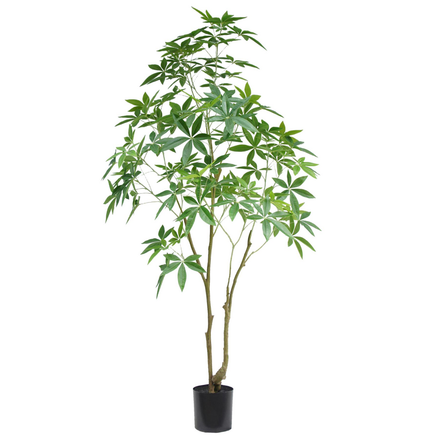 210cm Artificial Money Tree Pachira Faux Tree
