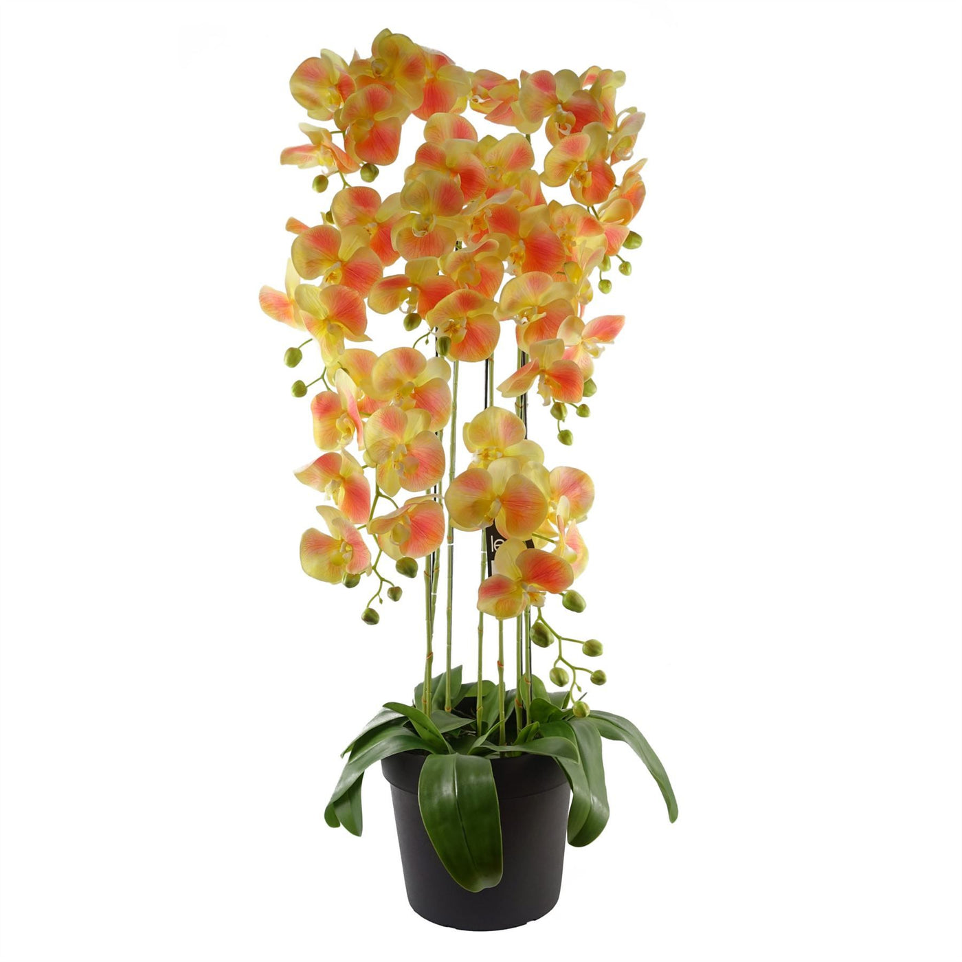 Large Yellow Peach Orchid Plant - Artificial - 41 Real Touch Flowers