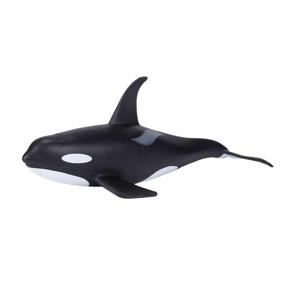 Orca Male Toy Realistic Marine Mammal Model