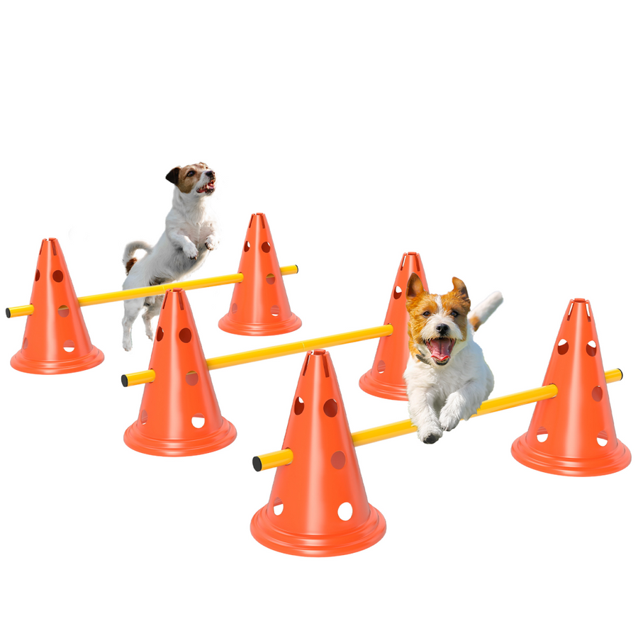PawHut Dog Agility Equipment Set